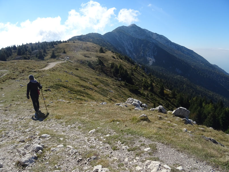 Cima delle Pozzette  m.2132 - Gruppo del Monte Baldo (VR)